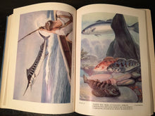 GAME FISH OF THE WORLD, Vesey-Fitzgerald, Illust. Fraser-Brunner, 1949 HC 1st Ed
