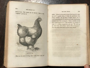 HISTORY OF HEN FEVER: A HUMOROUS RECORD - 1st Ed, 1855 RAISING CHICKENS POULTRY