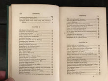 AUDUBON THE NATURALIST OF NEW WORLD: HIS ADVENTURES & DISCOVERIES, St. John 1866
