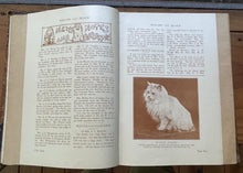 WESTERN CAT REVIEW - 1st Ed, Feb-June, 1910 KITTY FELINE JOURNAL, BREEDING, ADS
