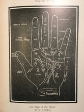 RAPHAEL - CHEIROSOPHY: A SCIENTIFIC TREATISE ON PALMISTRY - 1st, 1901 - Occult