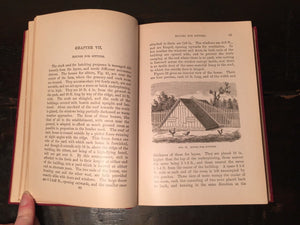 NEW EGG FARM by H.H. Stoddard 1906 HC 150 Illlustrations Poultry Farming SCARCE