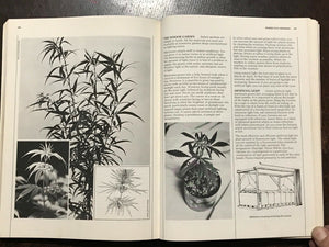 HIGH TIMES ENCYCLOPEDIA OF RECREATIONAL DRUGS - 1978 - HISTORY USES TYPES