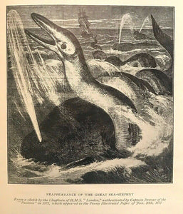 STRANGE SEA MYSTERIES - Elliott O'Donnell, 1st 1926 - SEA MONSTERS PHENOMENA