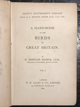 1894 ALLEN'S NATURALIST'S LIBRARY: BRITISH BIRDS 2 V. 64 Hand Colored Engravings