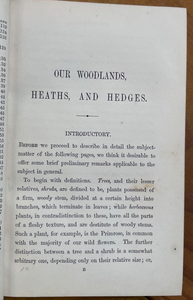 OUR WOODLANDS, HEATHS & HEDGES - Coleman, 1st 1859 - FLORA SHRUBS TREES INSECTS