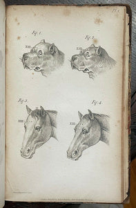 PHYSIOGNOMICAL SYSTEM - Gall & Spurzheim, 1st 1815 - FOUNDERS OF PHRENOLOGY