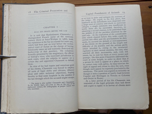 CRIMINAL PROSECUTION & CAPITAL PUNISHMENT OF ANIMALS - 1st 1906 - ANIMAL RIGHTS