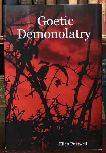 GOETIC DEMONOLATRY - 2005 MAGICK RITUALS SPIRITS DEMONS DEMONIC DIVINITY GOETIA