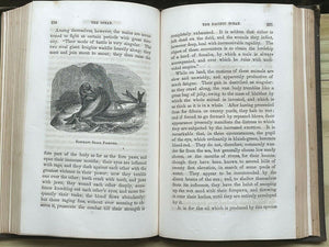THE OCEAN - P.H. Gosse, 1st 1856 - NATURALISM GEOGRAPHY OCEANOGRAPHY MARINE LIFE