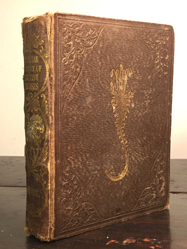 POPULAR HISTORY OF BRITISH MOSSES, R.M. Stark, 1st/1st HC 1854 — Hand Plates
