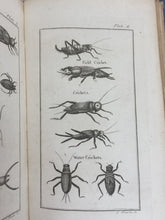 NATURAL HISTORY OF INSECTS Jan Swammerdam + Others, 1st 1792 RARE Copper Plates