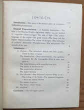 THE DEVACHANIC PLANE - Leadbeater, 1909 - THEOSOPHY, AFTERLIFE, HEAVEN, ANGELS