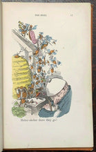BUZZ-A-BUZZ OR THE BEES - Busch, 1st 1873 CHILDREN'S ILLUSTRATED STORY BEEKEEPER