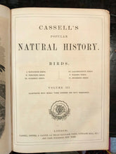 CASSELL'S POPULAR NATURAL HISTORY, 1860 - w/ 1500 ENGRAVINGS, Mammals Birds Fish