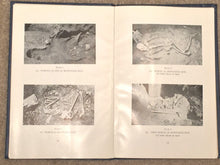 THREE ARCHAEOLOGICAL SITES IN SOMERSET COUNTY PA Mary Butler 1st/1st 1939 Photos