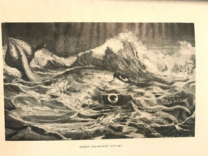 STRANGE SEA MYSTERIES - Elliott O'Donnell, 1st 1926 - SEA MONSTERS PHENOMENA