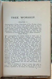 CULTUS ARBORUM - Jennings, 1st 1890 - ANCIENT OCCULT SEX PHALLIC TREE WORSHIP