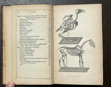 1853 TAXIDERMIST'S MANUAL - NATURAL HISTORY, CONSERVATION, TAXIDERMY