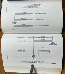 HIDDEN BEAST 2: MID-EAST IN PROPHECY - Skolfield, 1st 1990 ARMAGEDDON END TIMES