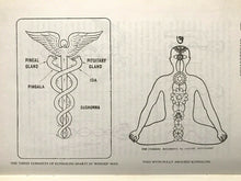 CONCEALED WISDOM IN WORLD MYTHOLOGY - Hodson, 1st 1983 FOLKLORE MYTHS OCCULT