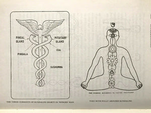 CONCEALED WISDOM IN WORLD MYTHOLOGY - Hodson, 1st 1983 FOLKLORE MYTHS OCCULT