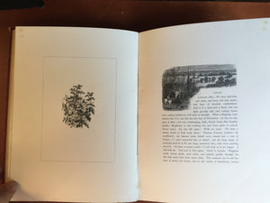 OUR VILLAGE by MARY R. MITFORD, 1st / 1st 1879 with 150 RARE Woodblock Prints