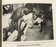 PASSAGE OF DARKNESS - Wade Davis, 1st 1988 - VODOUN VOODOO ZOMBIES HAITI