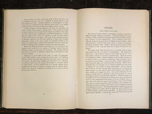 GEMS AND GEM MINERALS - Farrington, 1st Ed 1903 - GEMSTONES MINERALOGY MEANINGS