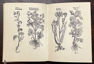 HERBARUM IMAGINES VIVAE - Ltd & Numbered Reprint of 1535 HERBAL HERBALISM PLANTS