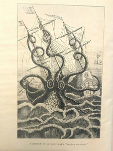 STRANGE SEA MYSTERIES - Elliott O'Donnell, 1st 1926 - SEA MONSTERS PHENOMENA