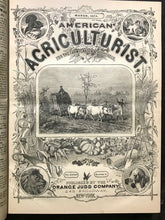AMERICAN AGRICULTURIST FOR FARM, GARDEN, HOUSEHOLD - 24 Original Issues 1874-75
