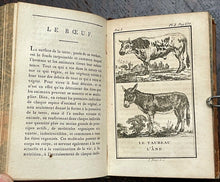 1798 HISTOIRE NATURELLE - BUFFON, Vol 1 NATURAL HISTORY ENGRAVED PLATES MAMMALS