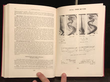RIVER MORPHOLOGY Stanley Schumm 1st/1st 1972 Ex Library of Congress, Illustrated