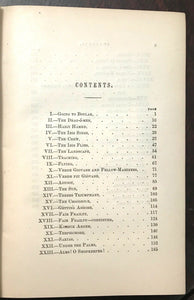 NILE NOTES OF A HOWADJI - Curtis, 1st 1856 - EGYPT TRAVEL ADVENTURES SITES NILE