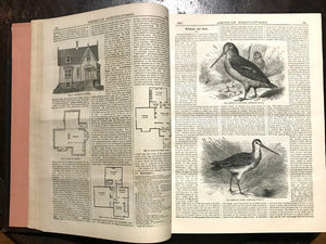 AMERICAN AGRICULTURIST FOR FARM, GARDEN, HOUSEHOLD - 24 Original Issues 1876-77