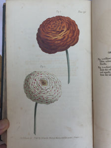 LECTURES ON BOTANY AS DELIVERED TO HIS PUPILS, William Curtis, 1st 1803 - PLATES
