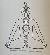 MAN: THE GRAND SYMBOL OF THE MYSTERIES - Manly P. Hall, 1947 - HUMAN BODY OCCULT