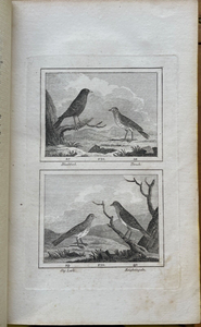 NATURAL HISTORY OF BIRDS, Etc - Le Bufon, 1798, Vol 2 - 10 BIRD ENGRAVED PLATES