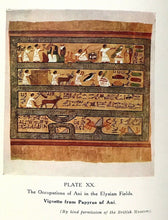 EGYPTIAN PAPYRI AND PAPYRUS HUNTING - Baikie, 1st 1925 ANCIENT EGYPT LITERATURE