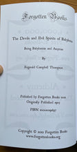 DEVILS AND EVIL SPIRITS OF BABYLONIA - 2 Vols 2012 - INCANTATIONS GHOSTS DEMONS