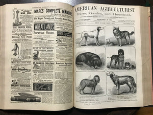 AMERICAN AGRICULTURIST FOR FARM, GARDEN, HOUSEHOLD - 24 Original Issues 1878-79