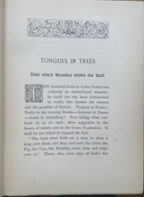 TONGUES IN TREES - Tuckwell, 1st 1891 - PLANT LORE FOLKLORE TREE NATURE WORSHIP