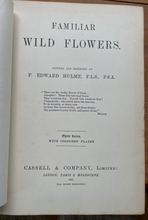 FAMILIAR WILD FLOWERS - Hulme, Ca 1890, 3 Vols - 90 Floral Colored Plates BOTANY
