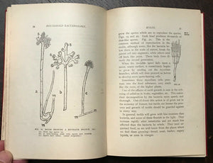 HOUSEHOLD BACTERIOLOGY - Elliott, 1918 GERMS BACTERIA MOLDS DISEASE PREVENTION