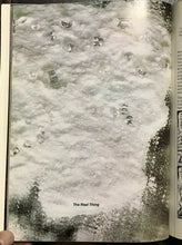 HIGH TIMES ENCYCLOPEDIA OF RECREATIONAL DRUGS - 1978 - HISTORY USES TYPES