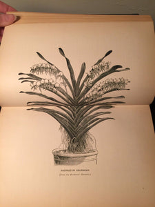 ORCHID GROWER'S MANUAL, B. Williams, 1894 — RARE BOTANICAL HERBALS, Illustrated