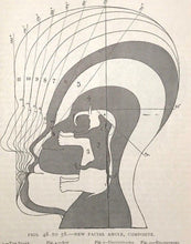 HOW TO STUDY STRANGERS BY TEMPERAMENT, FACE & HEAD - SIZER, 1st 1895, Phrenology
