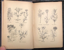 CULPEPER - THE BRITISH HERBAL & FAMILY PHYSICIAN - 1860 (w/ Publisher Misprint)