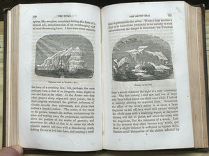 THE OCEAN - P.H. Gosse, 1st 1856 - NATURALISM GEOGRAPHY OCEANOGRAPHY MARINE LIFE